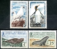 [Animals of Antarctica, type M]