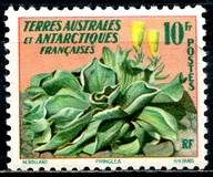 [Tropical Flora, 类型 G]