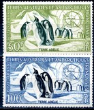 [Penguins, प्रकार E]
