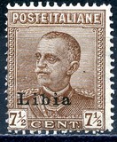 [King Victor Emmanuel III - Italian Stamps Overprinted "Libia", type Q]