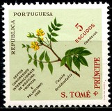 [The 6th Congress on Tropical Medicine, veids CA]