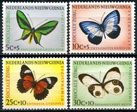 [Social Care - Butterflies, type S]