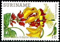[Flower Paintings by Maria Sibylle Merian, tyyppi ARE]