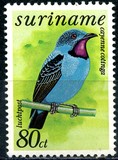 [Airmail - Birds, type AII]