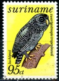 [Airmail - Birds, type AIJ]