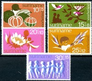 [Child Welfare, 类型 AFG]