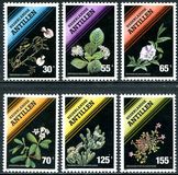 [Flowering Plants, type XA]