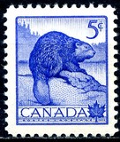 [National Wildlife Week, type GQ]