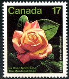 [Montreal Flower Show, Вид AAO]