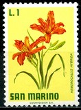 [Flowers, type YF]