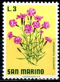 [Flowers, type YH]