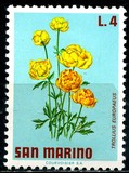[Flowers, type YI]