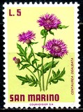 [Flowers, type YJ]
