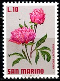 [Flowers, type YK]