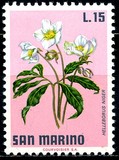 [Flowers, type YL]