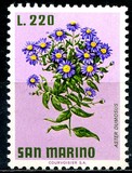 [Flowers, type YO]