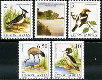 [Migratory Birds, тип CQL]
