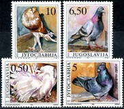 [Birds - Pigeon Breeds, type CPF]
