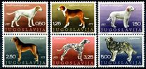 [Dog Breeds, Tip BDN]