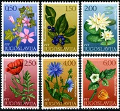 [Flowers, タイプ BER]