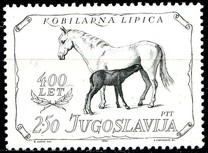 [The 400th Anniversary of the Stud Farm Lipica, Tip BTW]