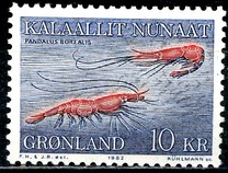 [Shrimps, 类型 CB]