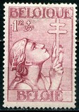 [The struggle against Tuberculosis, type EW4]