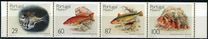 [Fish, Typ CN]