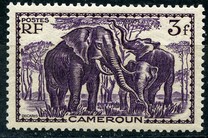 [Pictures from Cameroon, Scrivi X12]