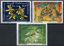 [Orchids, タイプ OX]