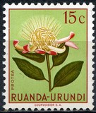 [Definitive Issues - Flowers, Tipi EE]