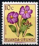 [Indigenous Flora, típus AW]