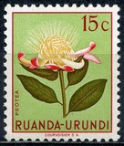[Indigenous Flora, típus AX]