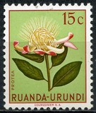 [Indigenous Flora, típus AX]