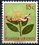[Indigenous Flora, típus AX]