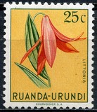 [Indigenous Flora, típus AZ]