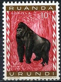 [Fauna, type BY]