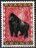[Fauna, type BY]