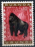 [Fauna, type BY]