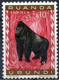 [Fauna, type BY]