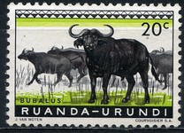[Fauna, type BZ]
