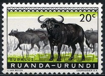 [Fauna, type BZ]