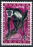 [Fauna, Scrivi CA]