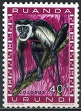 [Fauna, Scrivi CA]