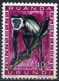 [Fauna, Scrivi CA]