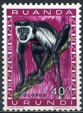 [Fauna, Scrivi CA]