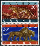 [Endangered Animals - Big Cats, type CM]