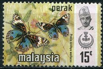 [Butterflies, type AQ]