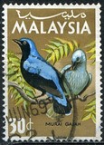 [Birds, type I]