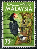 [Birds, type K]
